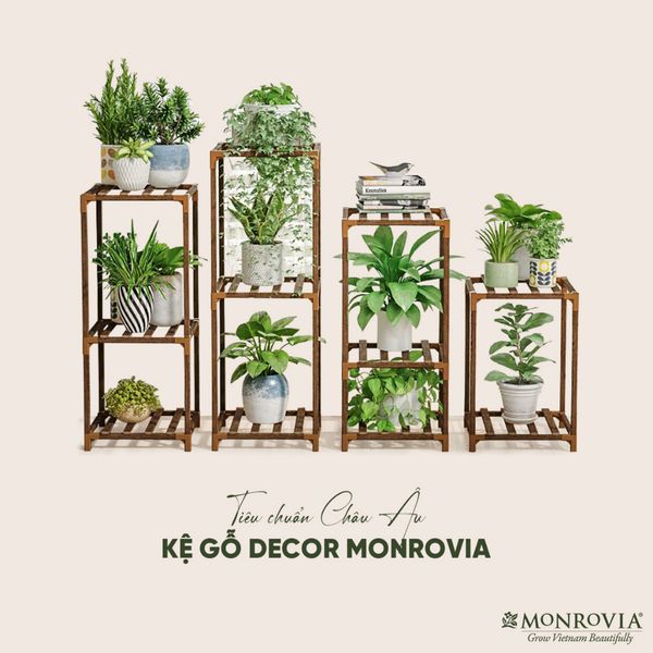 ke go decor monrovia tu 6 den 15 tang mua 1 duoc 4 tieu chuan chau au