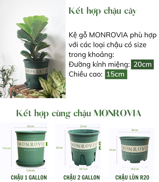 ke go decor monrovia tu 6 den 15 tang mua 1 duoc 4 tieu chuan chau au