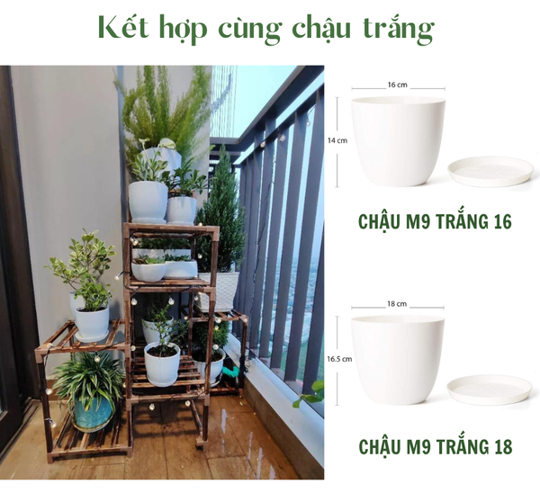 ke go decor monrovia tu 6 den 15 tang mua 1 duoc 4 tieu chuan chau au