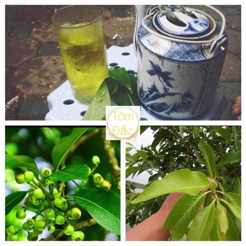 Uống NƯỚC VỐI không lo mỡ máu, bệnh gout, tốt cho người tiểu đường…