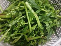 Rau Ngổ Trâu - Bài Thuốc Dân Gian Trị Mất Ngủ & Sỏi Thận Hiệu Quả