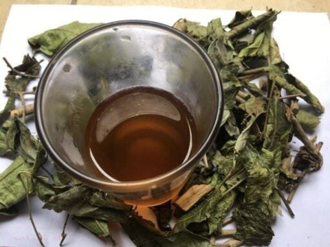 Cà Gai Leo Xạ Đen HerbMax - Giải Pháp Hỗ Trợ Điều Trị Bệnh Gan Hiệu Quả