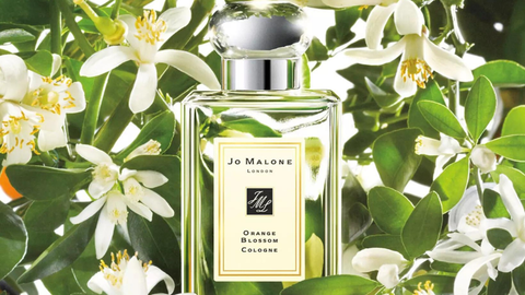 top 10 chai nuoc hoa huong hoa cam khong the bo lo trong mua he 2023 phan 1