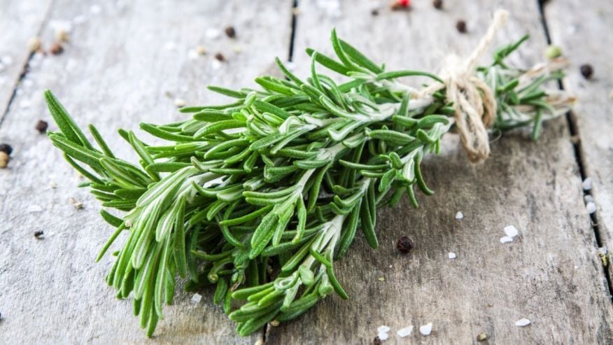 CÔNG DỤNG CỦA CÂY HƯƠNG THẢO (ROSEMARY)