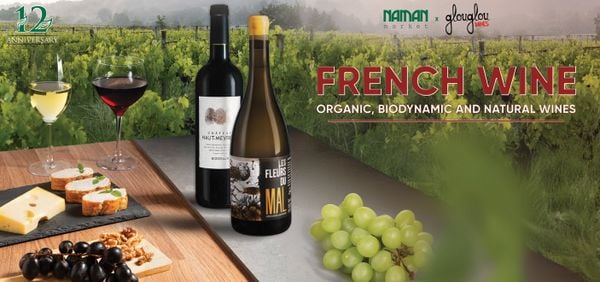 Khám phá vẻ đẹp tinh tuý của Rượu vang vùng Bordeaux