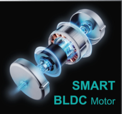 BDLC motor Grandx