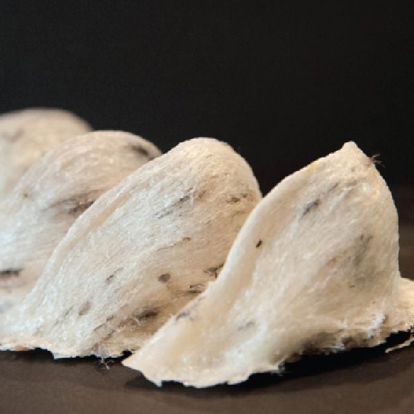 Phân Biệt Yến Sào Thật Và Giả