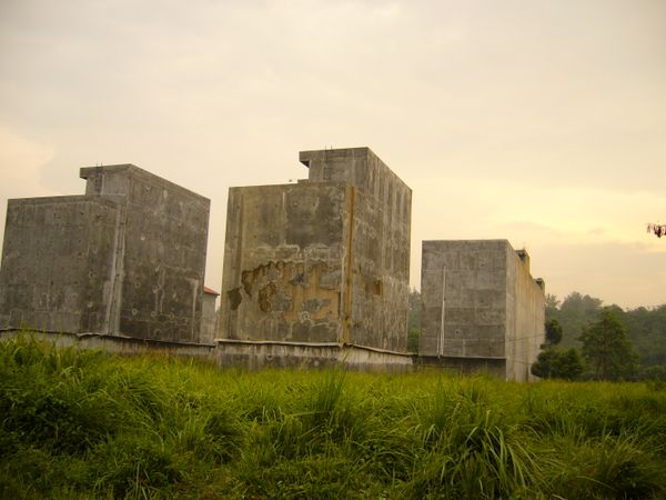 DOANH NGHIỆP NUÔI CHIM YẾN TIẾN QUÂN RA BẮC