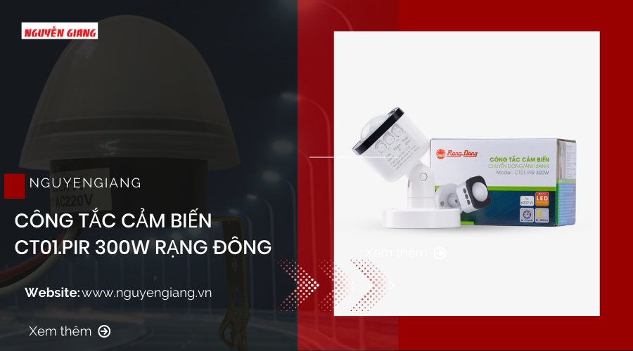 Công tắc cảm biến CT01.PIR 300W Rạng đông