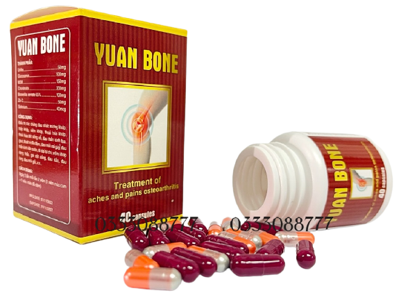 yuan bone