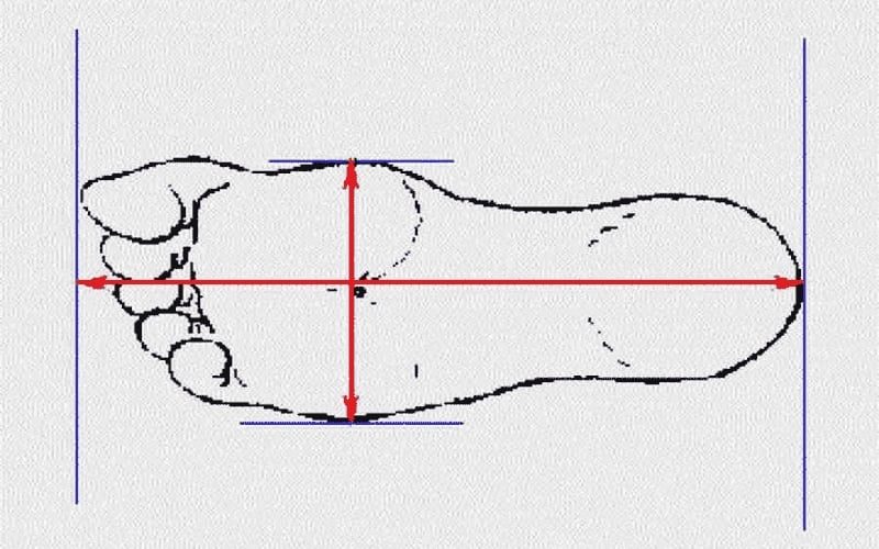 Đo chiều dài và chiều rộng bàn chân