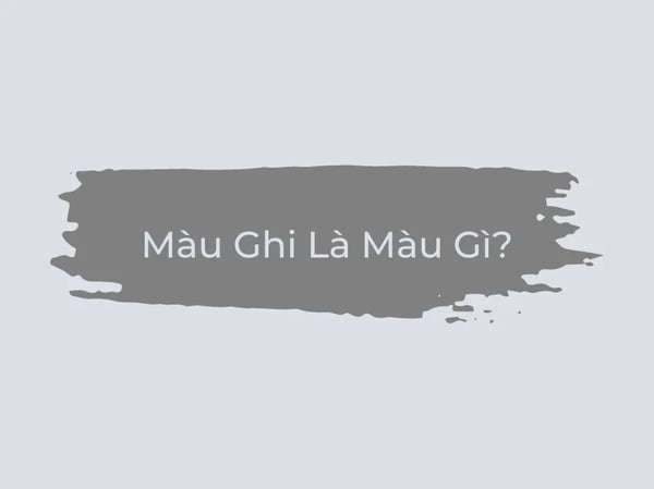 Màu ghi là màu gì?