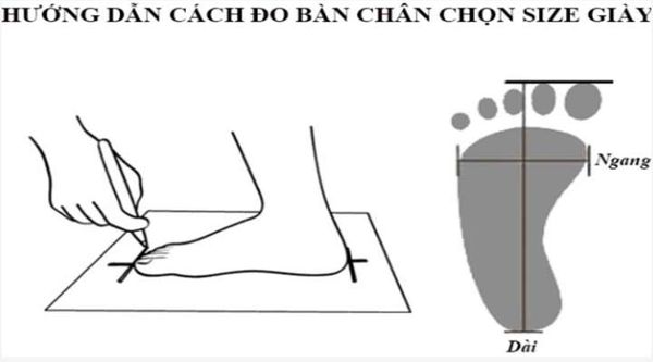 Đo chiều dài bàn chân
