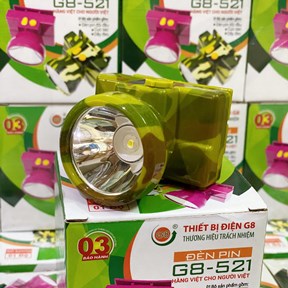 Đèn pin, đèn đội đầu, vợt muỗi G8 - Hàng Việt Nam chính gốc