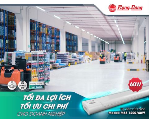 M66 tiết kiệm chi phí