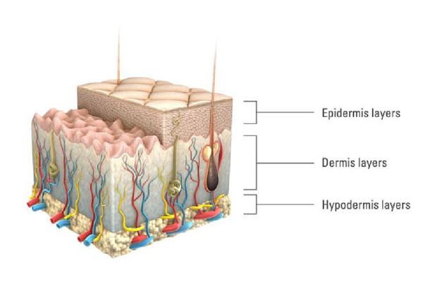 Nguyên nhân và các yếu tố gây nên lão hóa da