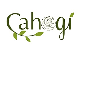 Thương Hiệu Cây Hoa Giả CAHOGI chính thức kí hợp đồng phân phối hàng hóa tại chuỗi siêu thị AEON
