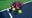 Cách chọn vợt Pickleball hiệu năng tốt nhất: Bí quyết để làm chủ cuộc chơi