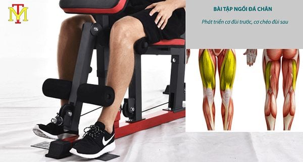 Bài tập ngồi đá chân với giàn tạ đa năng