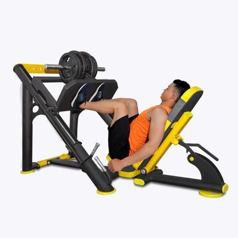 Máy tập cơ đùi bàn đạp