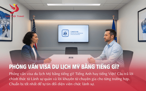 Phỏng vấn visa du lịch Mỹ bằng tiếng gì? Trả lời thẳng từ Chuyên gia