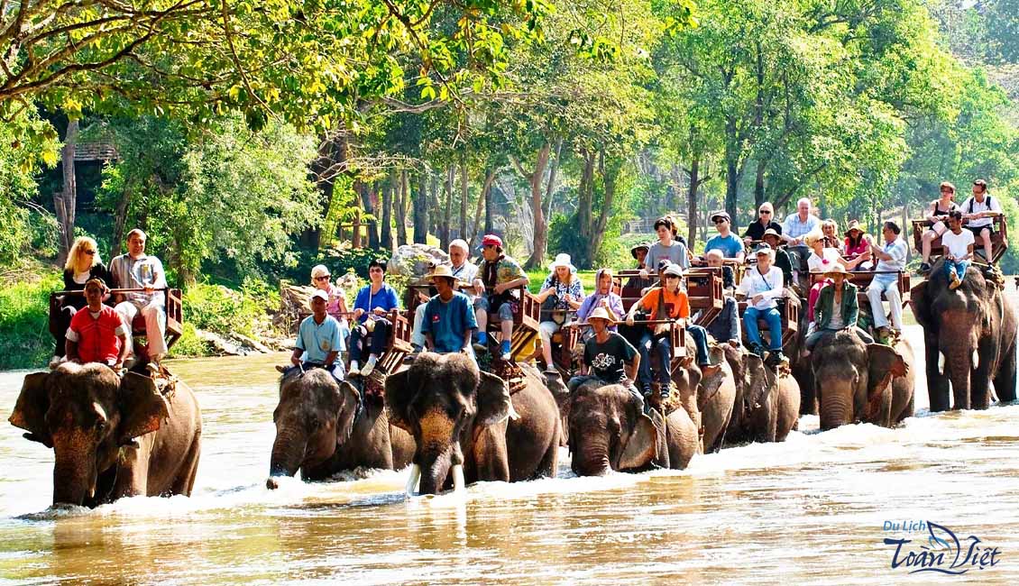 Tour Thái Lan cưỡi voi xuyên rừng rậm