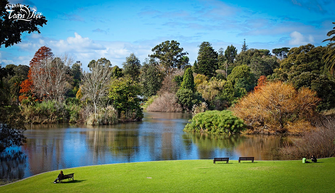 Du lịch Úc Sydney thăm quan vườn Botanic Garden