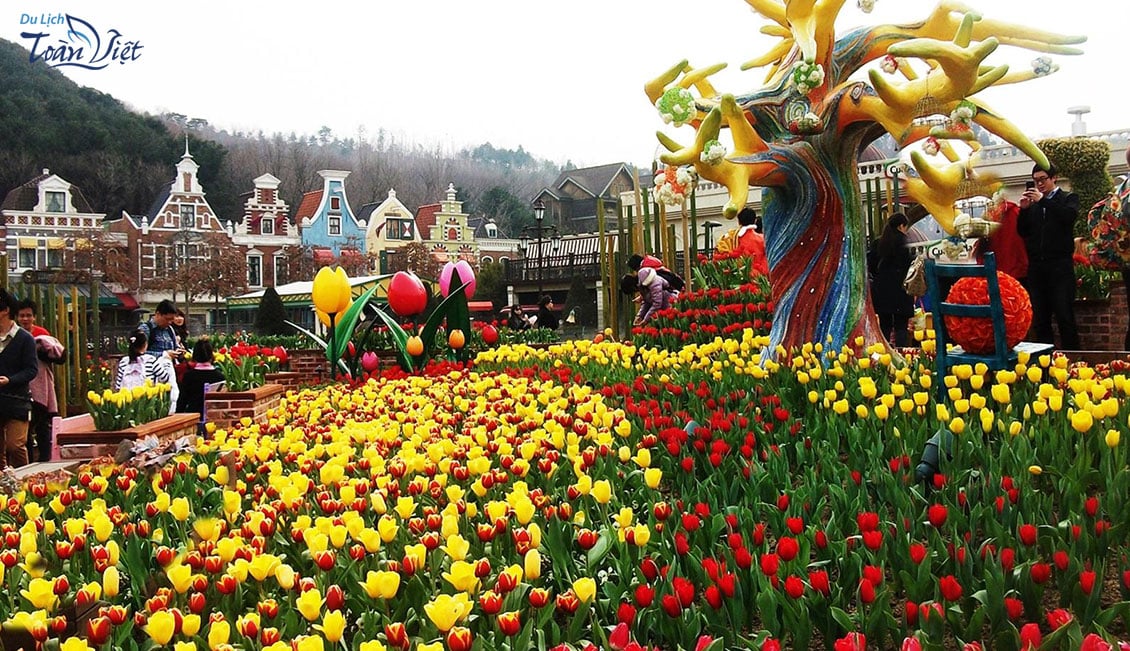 Du lịch Hàn Quốc công viên Everland vườn hoa 4 mùa