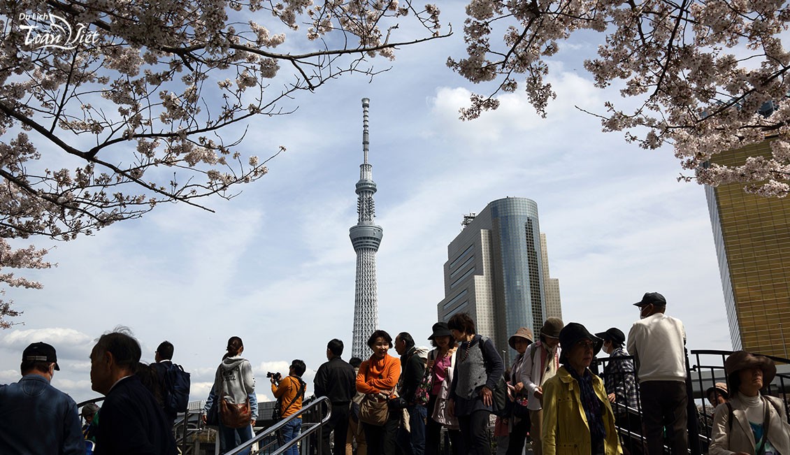 Du lịch Nhật Bản tham quan chụp hình lưu niệm tại tháp Tokyo Sky Tree