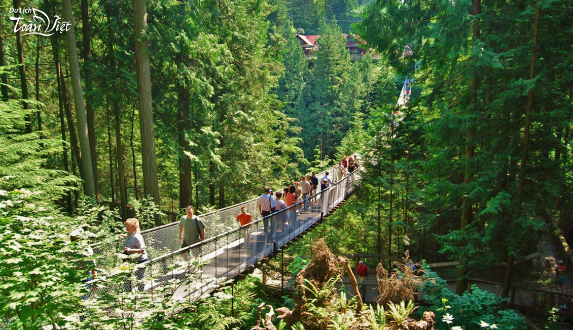 Tour du lịch Canada Capilano Suspension Bridge