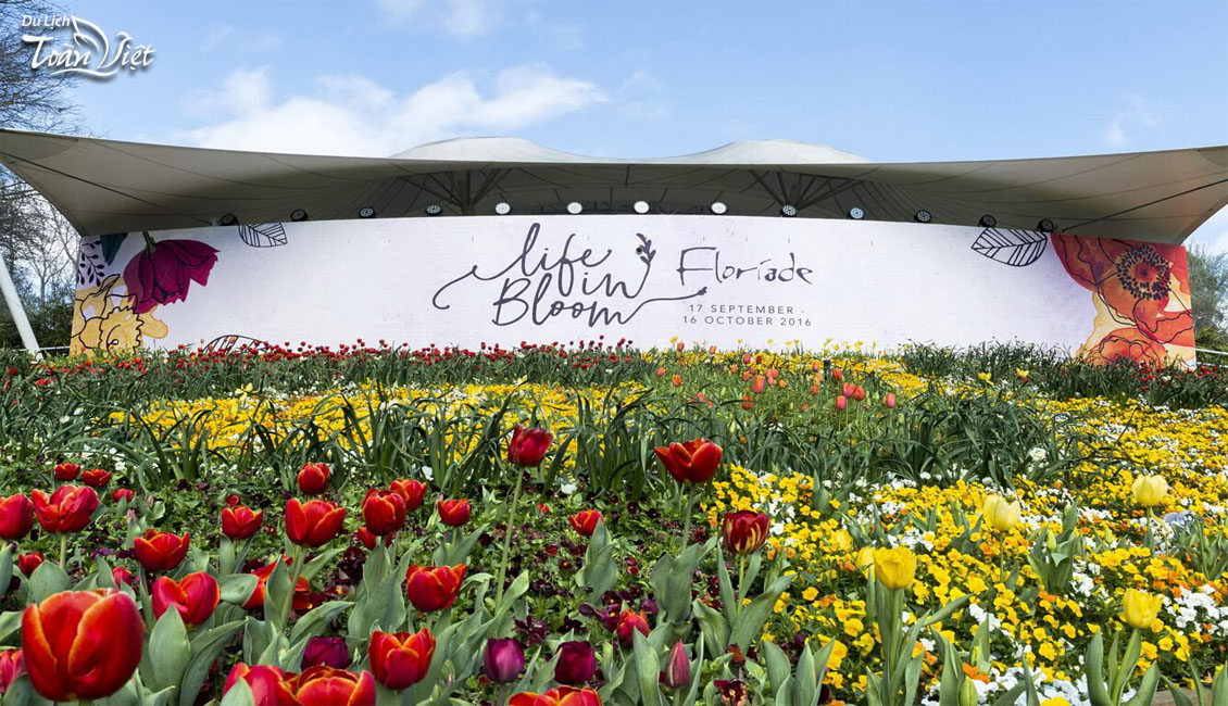 Tour du lịch Úc lễ hội hoa Floriade ở Canberra