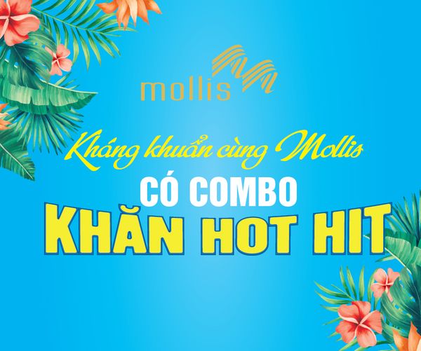 Mollis cùng chung tay bảo vệ cộng đồng