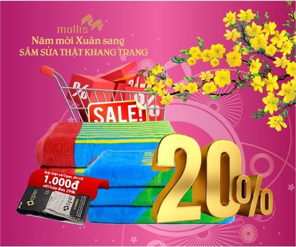 🎋Chương trình khuyến mãi 