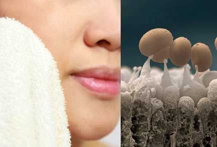 Khăn bông - Kẻ thù giấu mặt