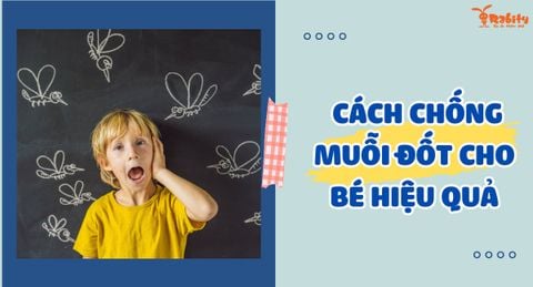 Mách mẹ cách chống muỗi đốt cho bé đơn giản, hiệu quả và an toàn