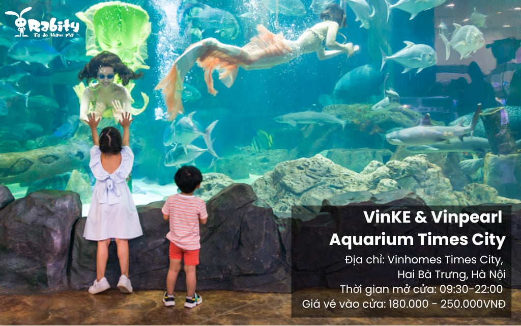 Khu vui chơi VinKE & Vinpearl Aquarium Times City