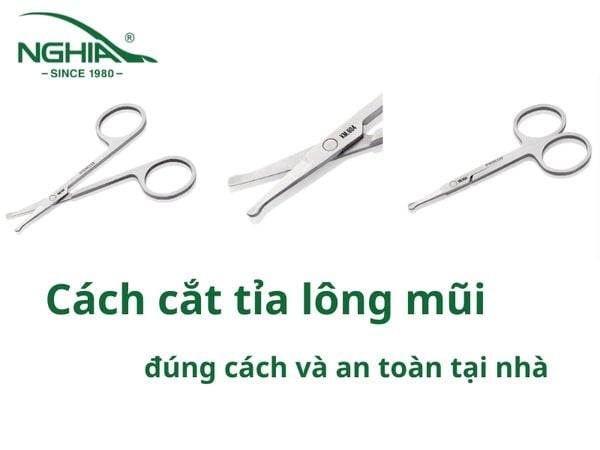 Hướng Dẫn Cách Cắt Tỉa Lông Mũi Đúng Cách Và An Toàn Tại Nhà