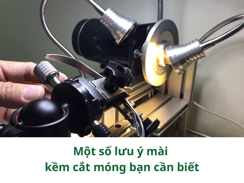 Lưu ý khi mài kềm cắt móng