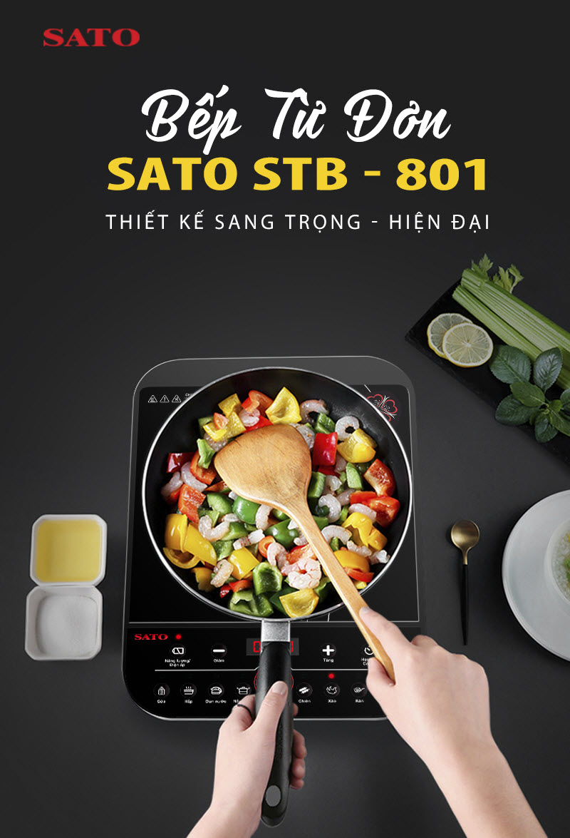 Bếp từ đơn SATO STB-801 3