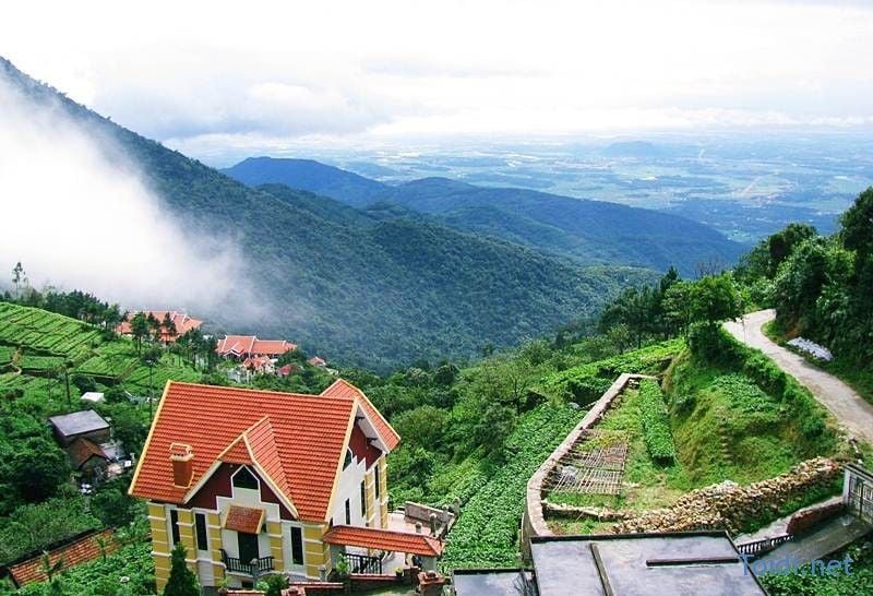 Kinh nghiệm du lịch Tam Đảo từ A đến Z