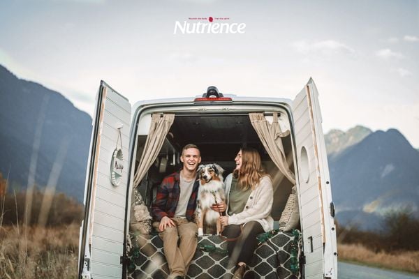 Nuôi chó làm thú cưng và những lợi ích được khoa học chứng minh