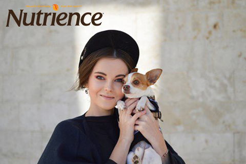 Cách nuôi và chăm sóc chó cảnh khoẻ mạnh mà ai cũng nên biết