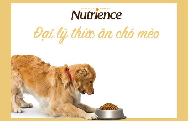 Đại lý cung cấp và phân phối thức ăn cao cấp chó mèo giá tốt nhất