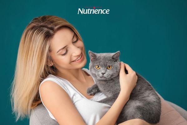 Một số lợi ích thú vị đến từ việc nuôi mèo