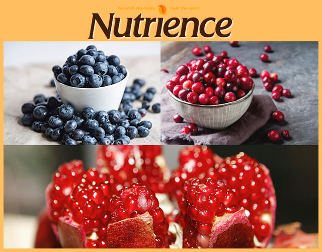 Nutrience natural