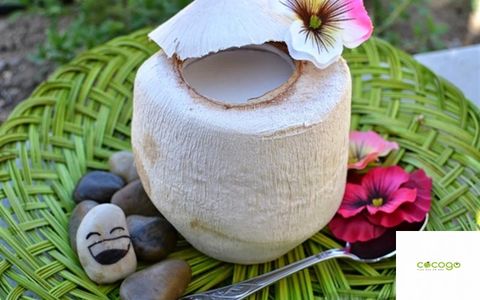 Thưởng thức rau câu trái dừa thanh mát, chuẩn chất dừa Việt
