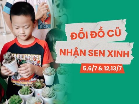 ĐỔI ĐỒ CŨ - NHẬN SEN XINH