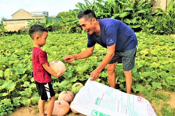 Efficiency from organic farming practice models