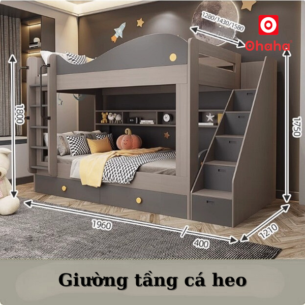 Giường tầng cá heo