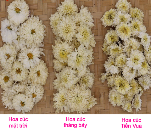 Kinh Nghiệm Chọn Trà Hoa Cúc - 4 Loại Trà Hoa Cúc Trắng Tốt Nhất Hiện Nay